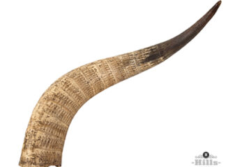 Zulu engraved cattle horn
