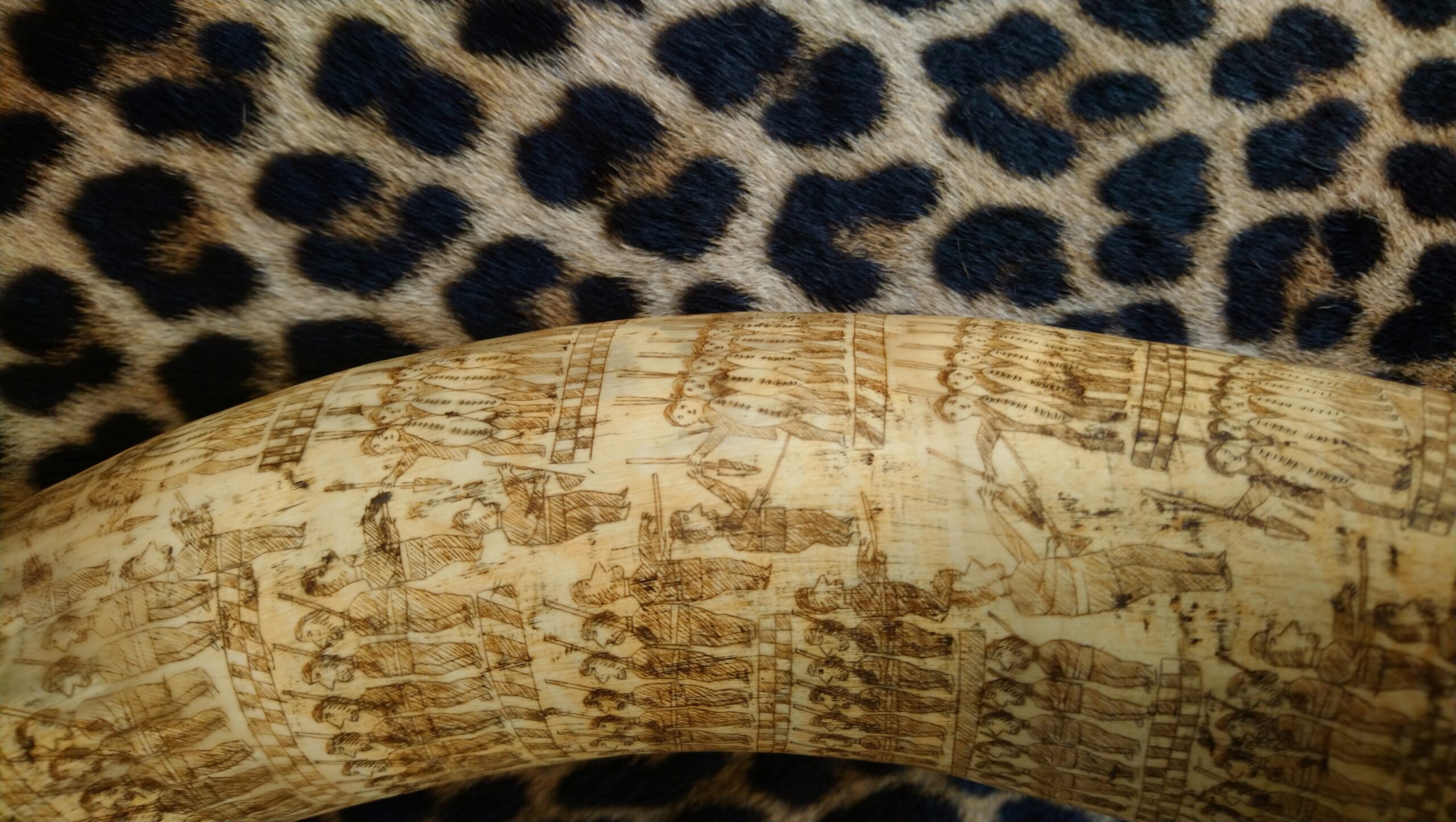 The Hero Artifact Series:  Part 6 – The 1879 Anglo-Zulu War Lion’s Ledger: Engraved Zulu Cattle Horn.